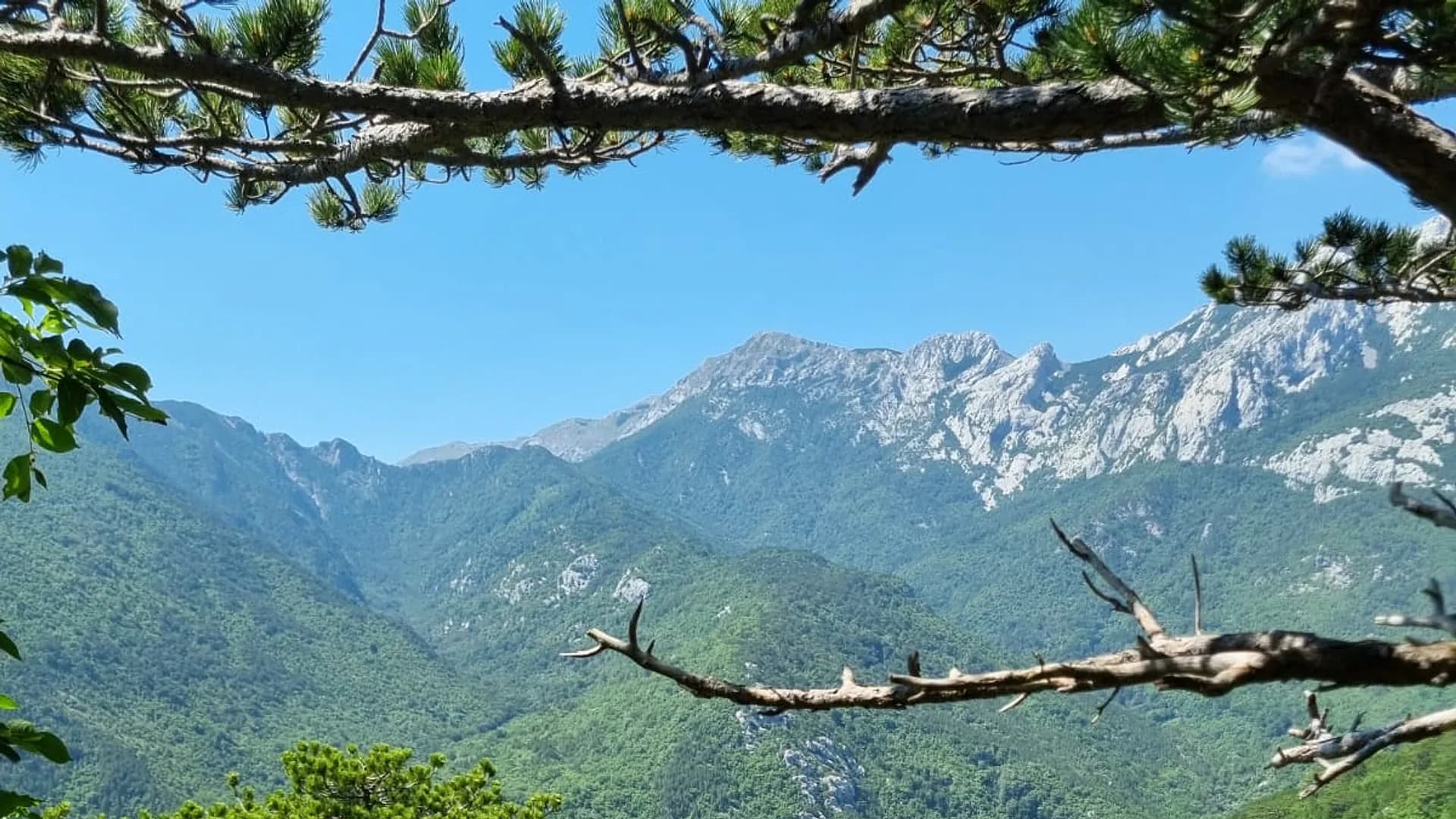 Nature near National Park Paklenica close to Seline