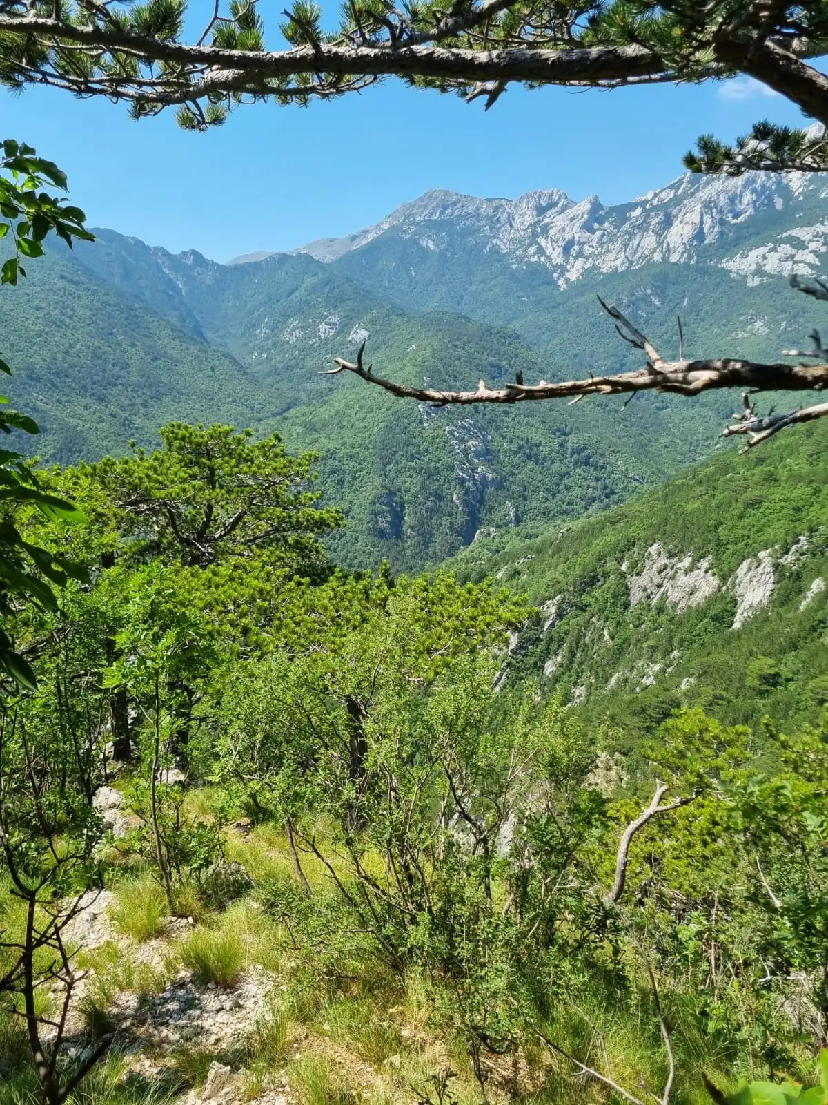 Green mountain landscape near National Park Paklenica close to Apartman Linda